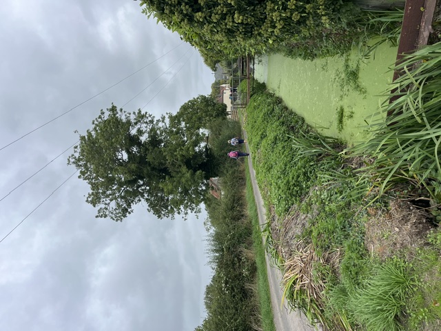 image5